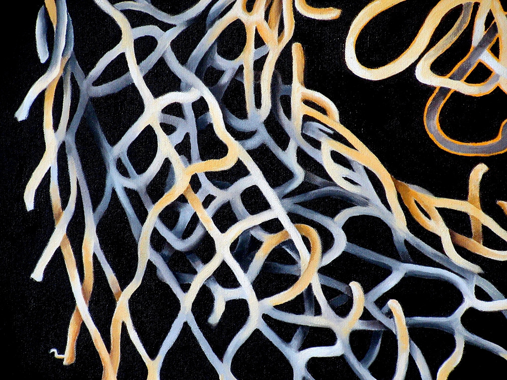 Close-up of 'Netscape'